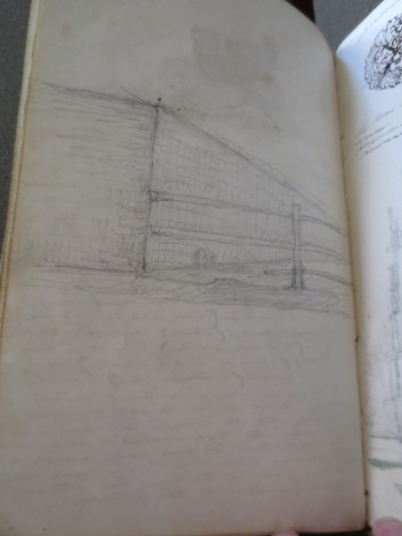 FDA-V.3-2016-ZZZG image FDA-V.3-2016-ZZZG