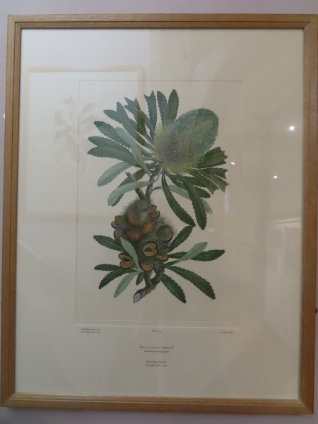 image FDA-E.2916_13_18-2016