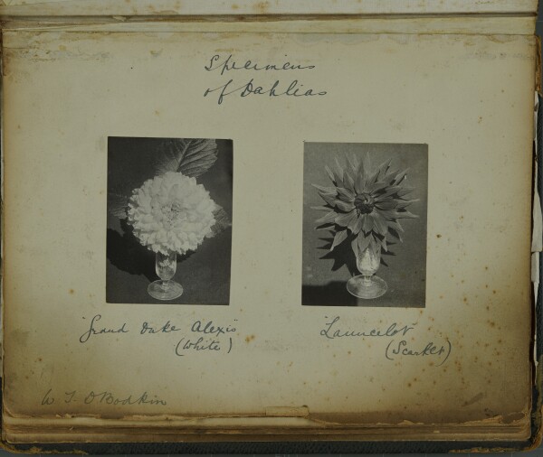 PA-A.84_26-2024 image PA-A.84_26-2024