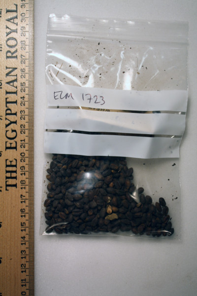 ECM.1723-2010-A image ECM.1723-2010-A