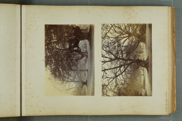 PA-A.81_6-2024 image PA-A.81_6-2024