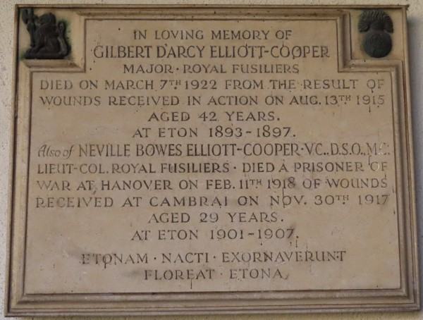 FDA-Sc.181-2022 image FDA-Sc.181-2022