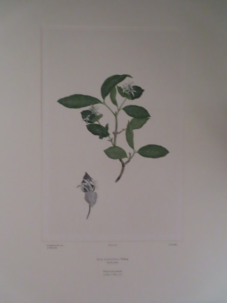 image FDA-E.2916_7_14-2016-A