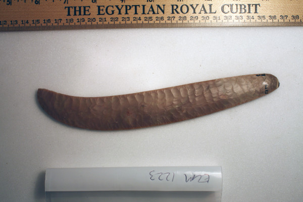 ECM.1223-2010-A image ECM.1223-2010-A