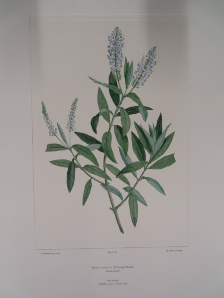 FDA-E.2916_25_8-2016-A image FDA-E.2916_25_8-2016-A