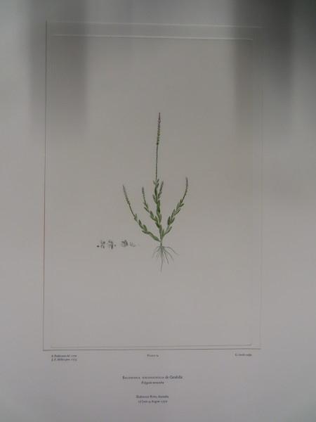 image FDA-E.2916_1_17-2016