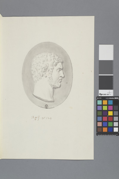 ECL-Bm.8_129-2013 image ECL-Bm.8_129-2013