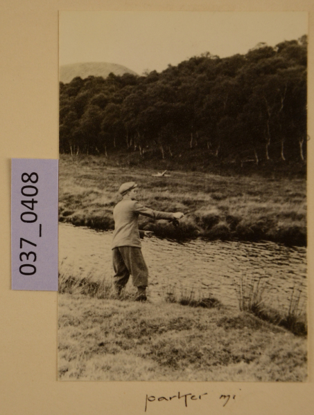 PA-A.37_408-2012 image PA-A.37_408-2012