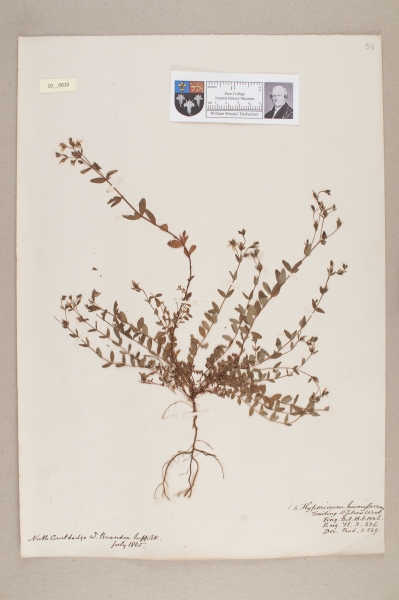 NHM_HH_10.10-2010 image NHM_HH_10.10-2010