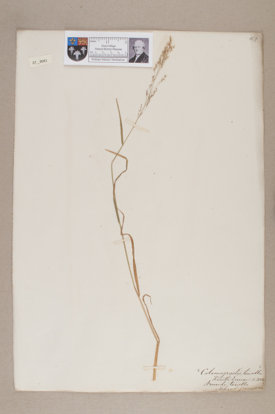 NHM_HH_37.41-2010 image NHM_HH_37.41-2010