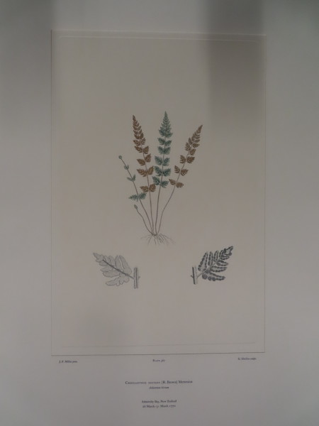 image FDA-E.2916_27_9-2016