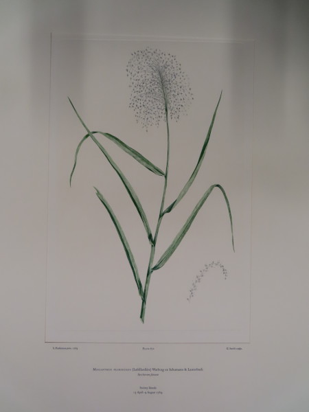 image FDA-E.2916_31_25-2016-A