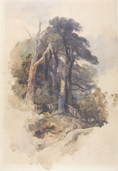 FDA-D.362-2010 image FDA-D.362-2010