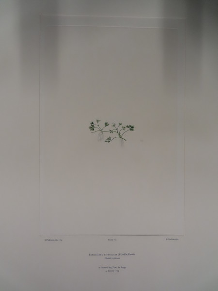 FDA-E.2916_33_5-2016 image FDA-E.2916_33_5-2016