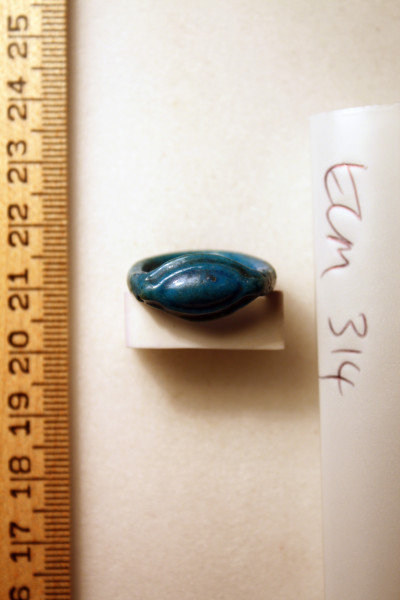 ECM.314-2010-A image ECM.314-2010-A