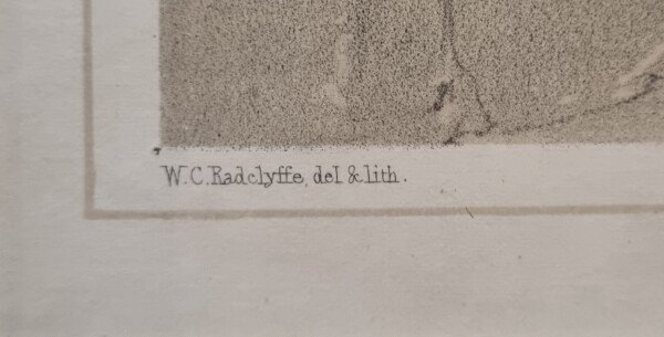 FDA-E.3312-2025-C image FDA-E.3312-2025-C