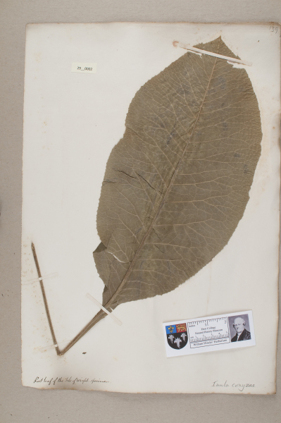 NHM_HH_29.2-2010 image NHM_HH_29.2-2010