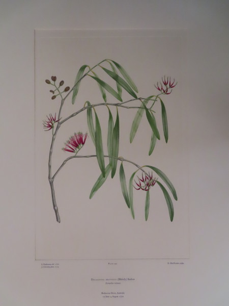 FDA-E.2916_13_24-2016-A image FDA-E.2916_13_24-2016-A