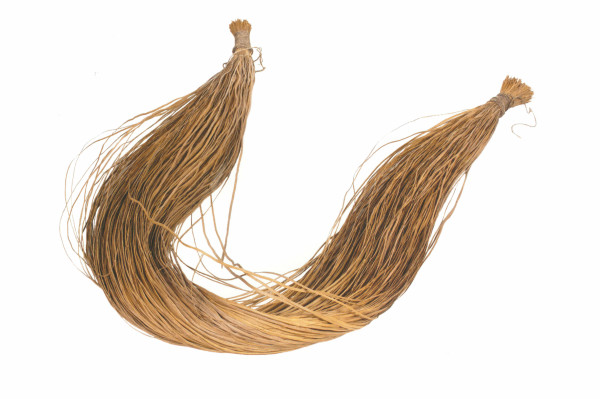 NHM-HT.130-2014 image NHM-HT.130-2014