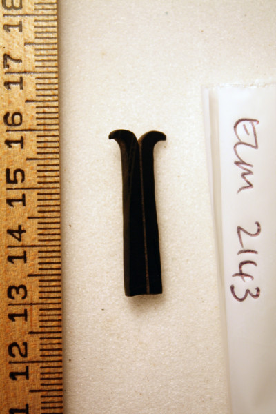 ECM.2143-2010-A image ECM.2143-2010-A