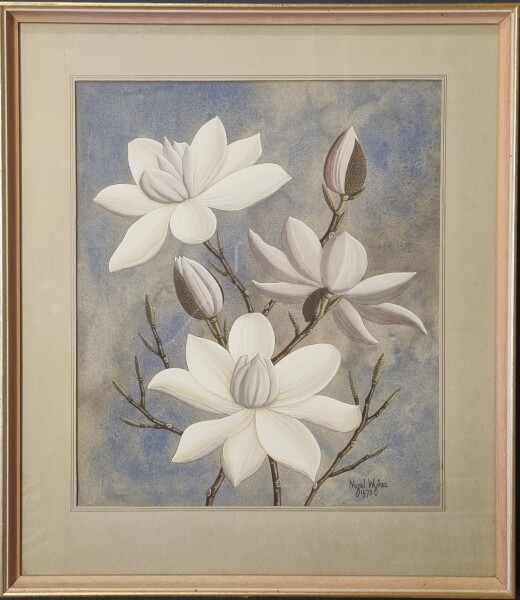 FDA-D.1785-2025 image FDA-D.1785-2025