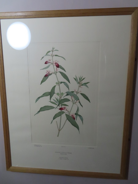 FDA-E.2916_11_23-2016 image FDA-E.2916_11_23-2016