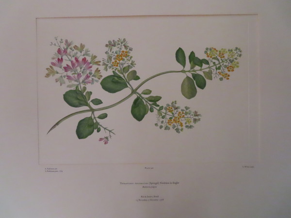 image FDA-E.2916_16_8-2016-A