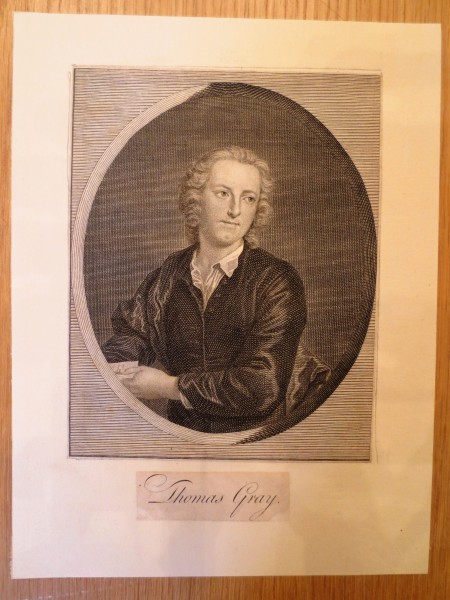 FDA-E.2175-2015 image FDA-E.2175-2015