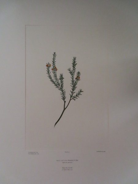 image FDA-E.2916_3_11-2016