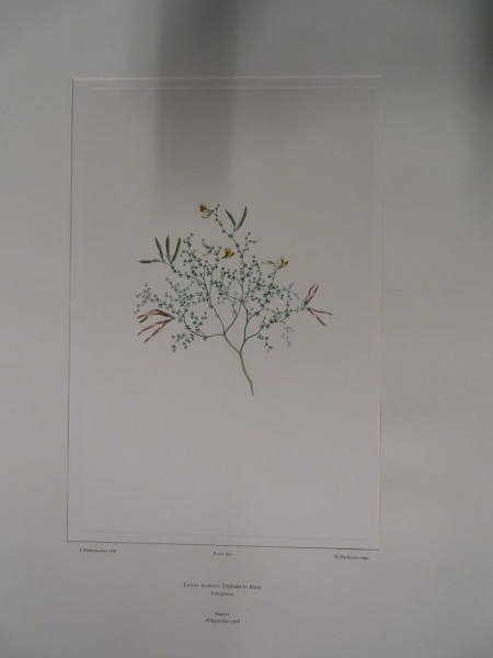 image FDA-E.2916_19_4-2016-A