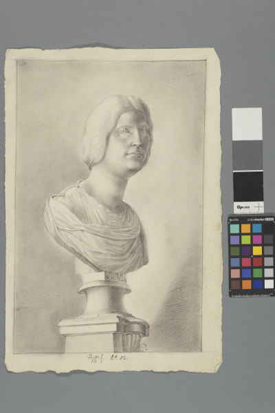 ECL-Bm.13_82-2013-A image ECL-Bm.13_82-2013-A