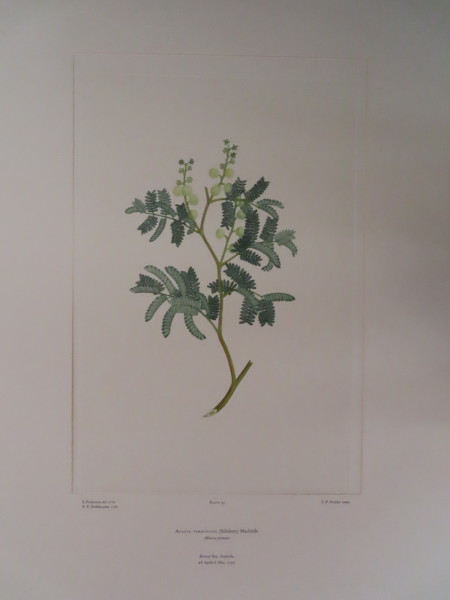 image FDA-E.2916_5_8-2016-A