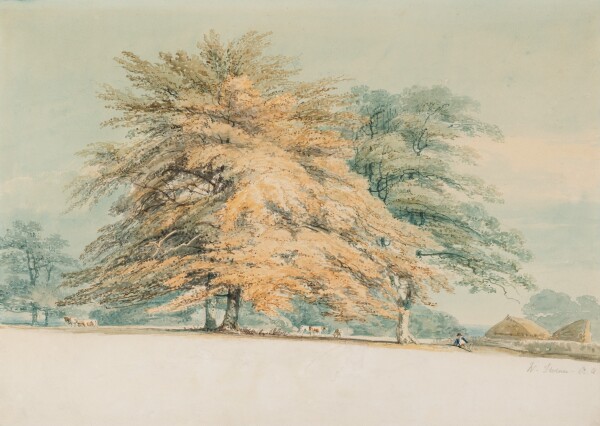 FDA-D.1694-2023 image FDA-D.1694-2023