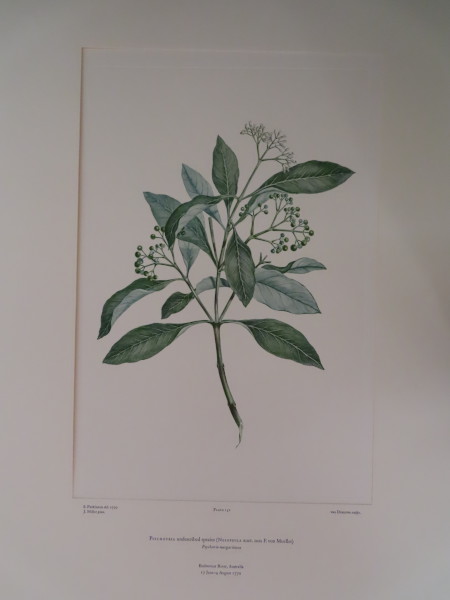 image FDA-E.2916_7_19-2016-A