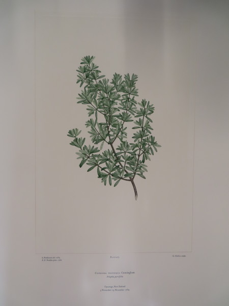 image FDA-E.2916_23_7-2016-A