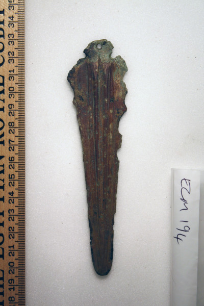 ECM.194-2010-A image ECM.194-2010-A