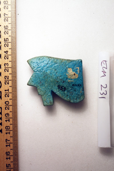 ECM.231-2010-B image ECM.231-2010-B