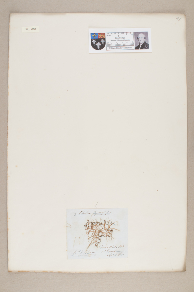 NHM_HH_10.2-2010 image NHM_HH_10.2-2010