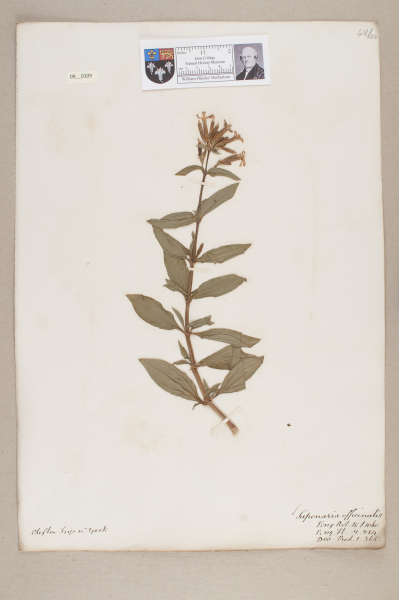 NHM_HH_9.109-2010 image NHM_HH_9.109-2010