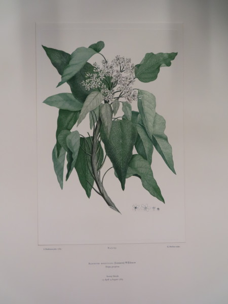 FDA-E.2916_31_6-2016 image FDA-E.2916_31_6-2016