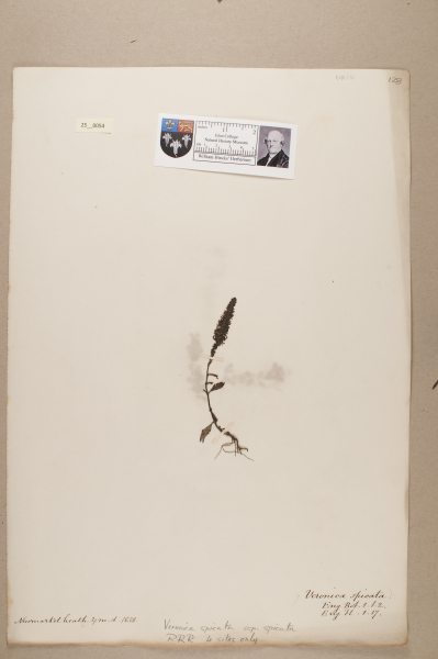 NHM_HH_25.54-2010 image NHM_HH_25.54-2010