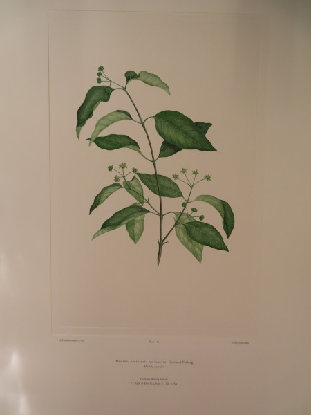 image FDA-E.2916_29_10-2016