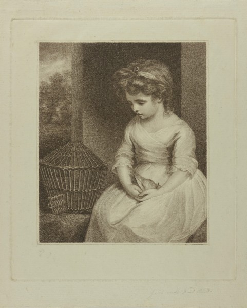 FDA-E.1279-2014 image FDA-E.1279-2014