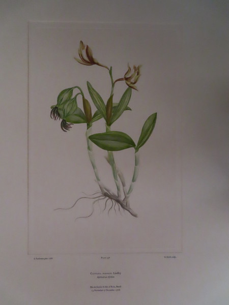 image FDA-E.2916_16_24-2016