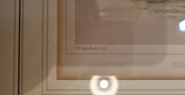 FDA-E.3314-2025-B image FDA-E.3314-2025-B