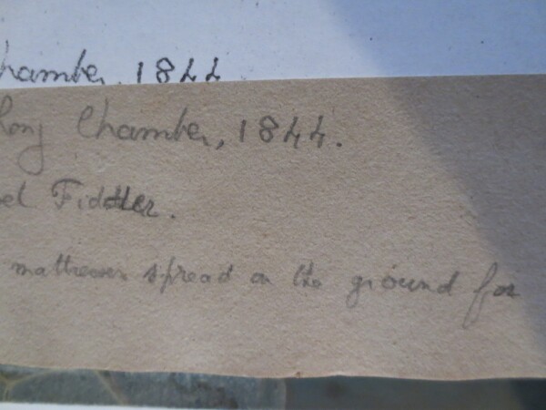 FDA-V.8-2016-AI image FDA-V.8-2016-AI