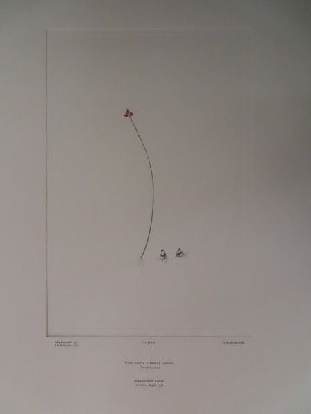 image FDA-E.2916_11_20-2016-A