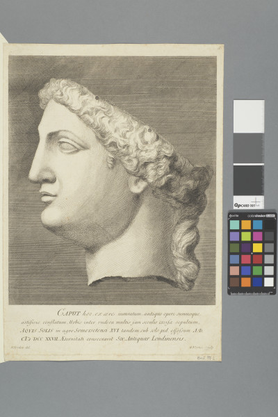 ECL-Bm.2_98-2-2012 image ECL-Bm.2_98-2-2012