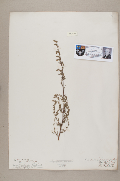 NHM_HH_29.29-2010 image NHM_HH_29.29-2010