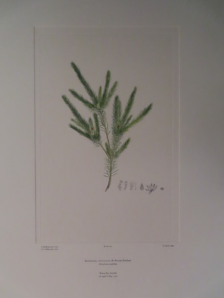 image FDA-E.2916_9_15-2016